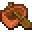 Acacia Boat