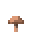 Brown Mushroom