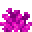 Bubble Coral