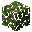 Flowering Azalea Leaves