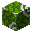 Green Glazed Terracotta