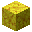 Horn Coral Block