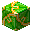 Lime Glazed Terracotta