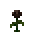 Wither Rose